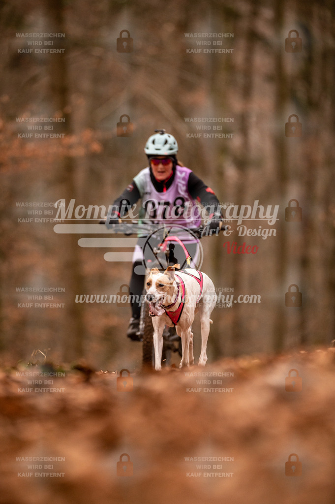 AKM_ST_2023_Son_Bike-115 | PayLife