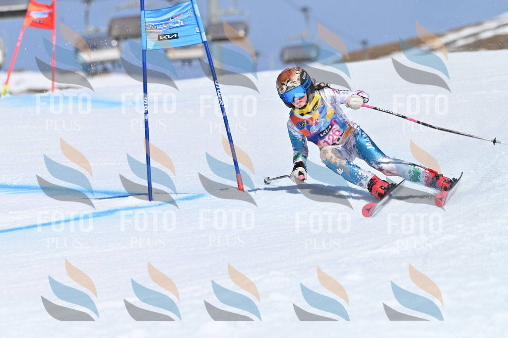 BGV_9916 | holidayphoto