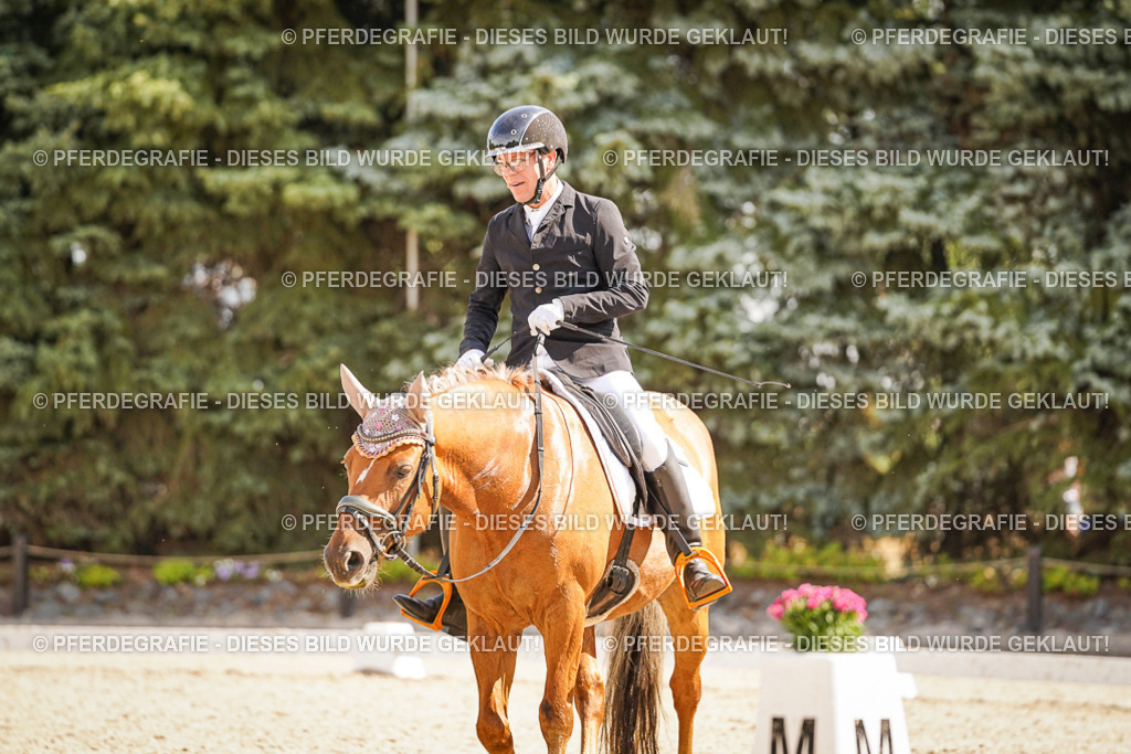 DSC00832 | Pferdegrafie