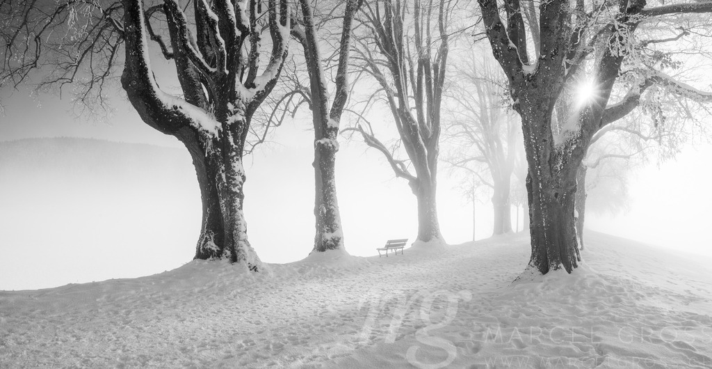 20241228-Schlosswil-360-Pano | Die ideale Geschenkidee für Naturliebhaber. Naturbilder von Marcel Gross Photography für ihr Zuhause in den verschiedensten Formaten und Materialien. - Realisiert mit Pictrs.com