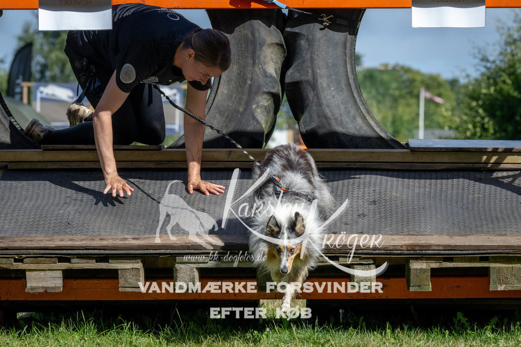 1100_ZZ91731 | kk-dogfotos