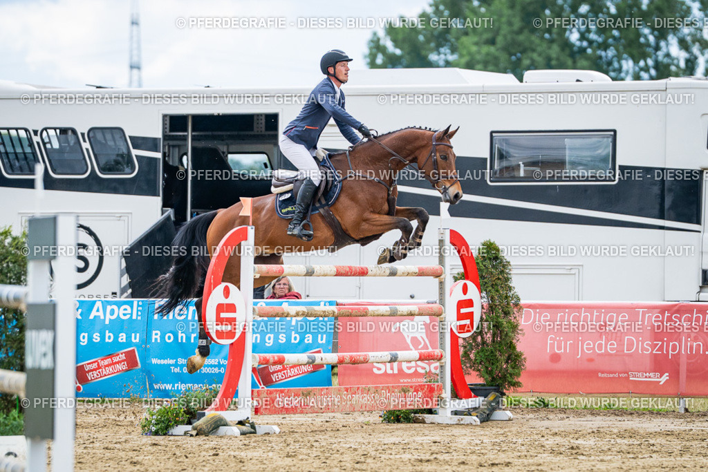 DSC06171 | Pferdegrafie