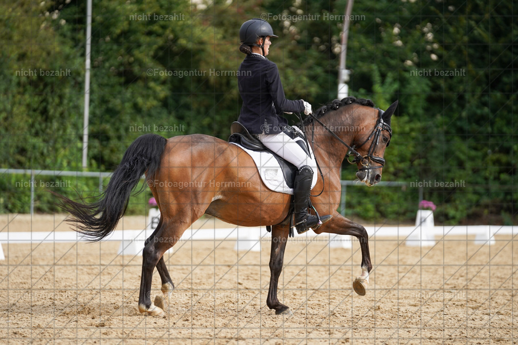 20240825-FAH00336 | Turnierbilder, Reitsportfotos, LAPO, Landesponyturnier, Turnierfotografen Bayern
