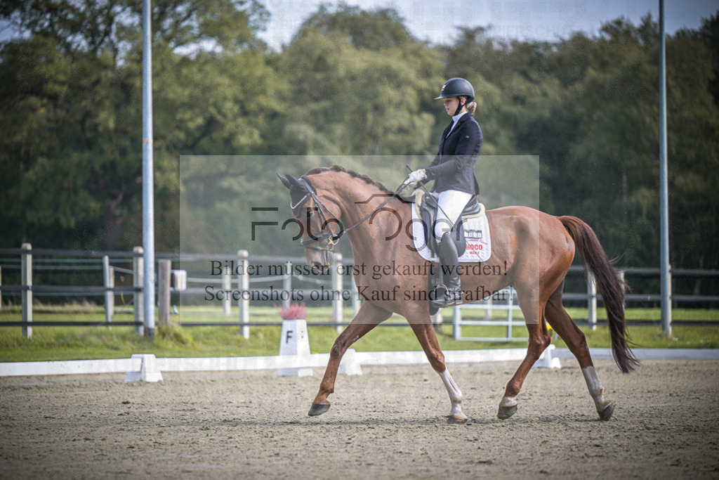 DOS_B664 | Entdecke hochwertige Reitturnierfotos von Foto Oger. Professionell, emotional und authentisch – jetzt Lieblingsmomente im Shop bestellen.Deutschlandweite Turnierfotografie. - Realisiert mit Pictrs.com