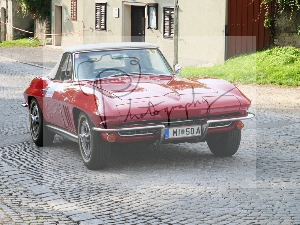 P1000084 | Gerhard Witt