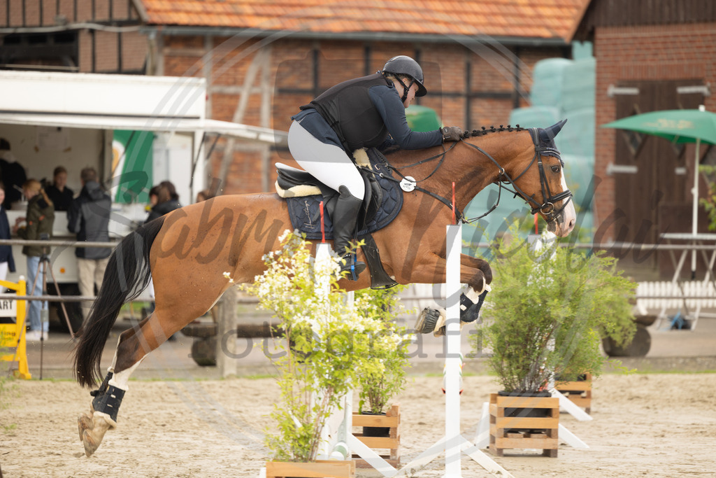 994A9270 | sabrinanicolaifotografie - Realisiert mit Pictrs.com