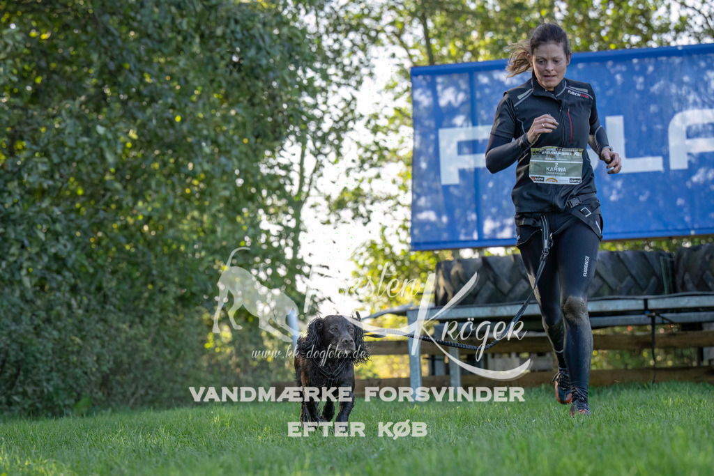 1042--3 | kk-dogfotos