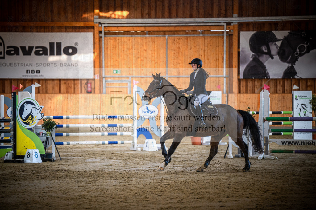 DOS_0842 | Entdecke hochwertige Reitturnierfotos von Foto Oger. Professionell, emotional und authentisch – jetzt Lieblingsmomente im Shop bestellen.Deutschlandweite Turnierfotografie. - Realisiert mit Pictrs.com