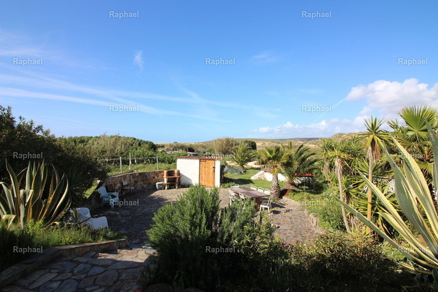 IMG_2897 | Raphael - Realisiert mit Pictrs.com