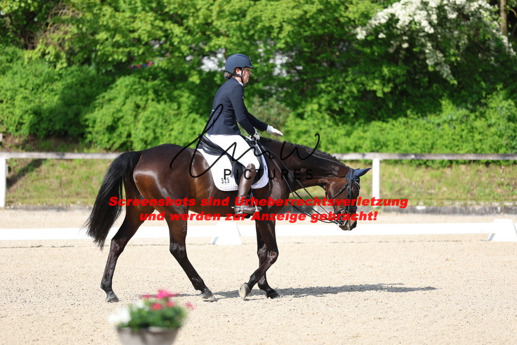 A40A3854 | lmwpictures - Realisiert mit Pictrs.com