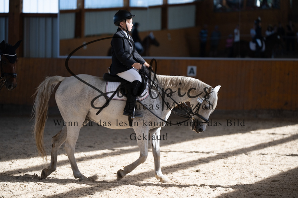 A7V02105 | Pferdefotograf