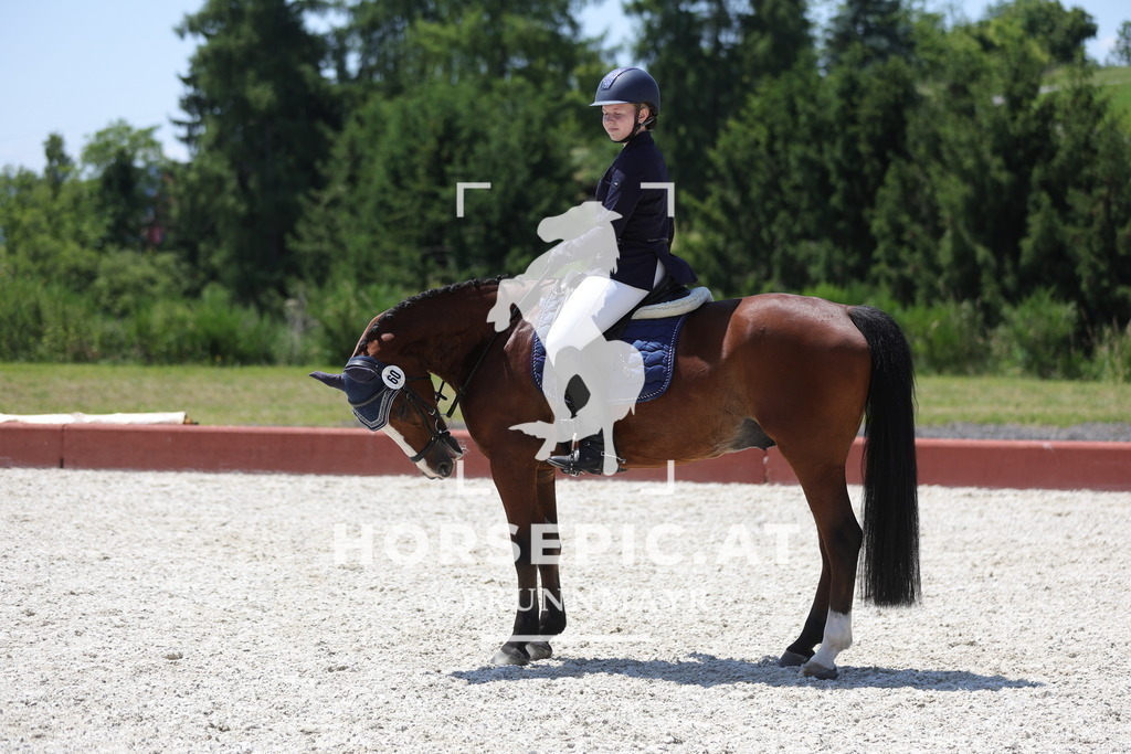 0P6A6318 | Willkommen bei Brunnmayr - Design & Fotografie – Ihrem Spezialisten für Reitturniere und Pferdeveranstaltungen in Oberösterreich, Salzburg und Bayern! Seit über 17 Jahren sind wir leidenschaftlich dabei.