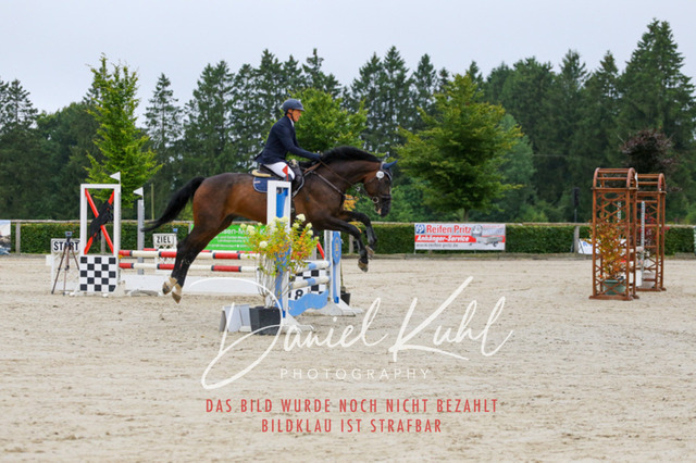 IMG_4916 | Turniersportfotografie; Pferdefotografie; Dressurfotografie