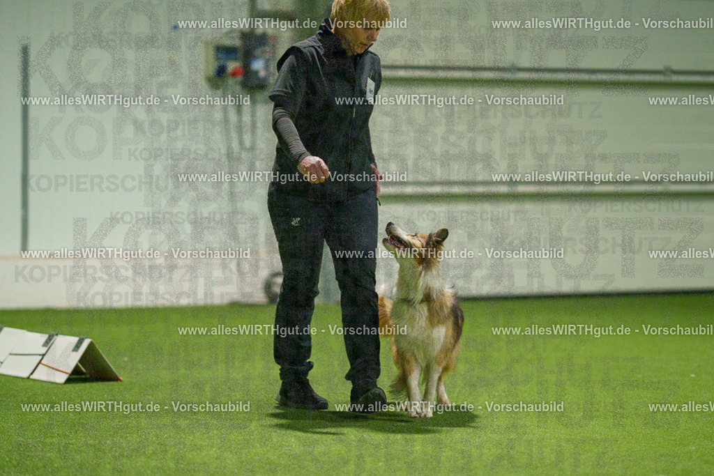 7R504395 | Professionelle Tierfotografie in Mönchengladbach von Daniel Wirth (allesWIRTHgut). Liebevolle & natürliche Bilder von Hunden & Katzen für unvergessliche Erinnerungen.