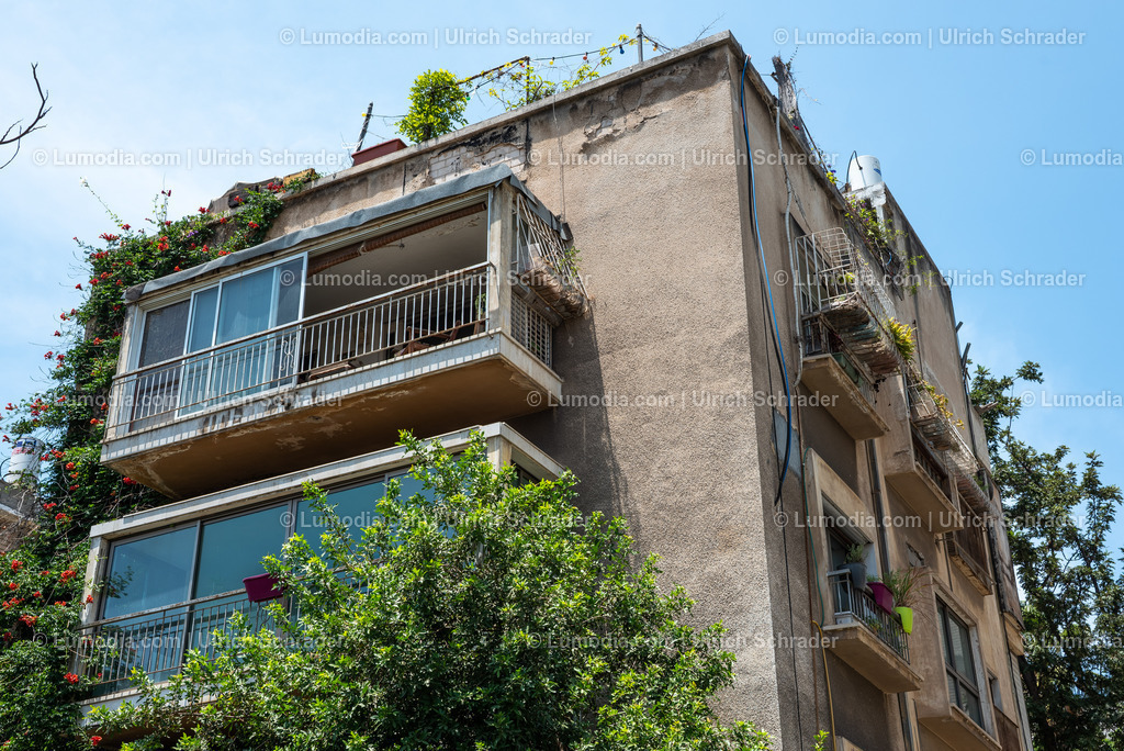 10972-10143 - Tel Aviv - Rothschild Boulevard | Stockfoto und Bilderpool mit Bildmaterial aus Deutschland, dem Harz, Halberstadt, Quedlinburg, Wernigerode und weltweit. Qualitativ hochwertige und professionelle Fotos anschauen und kaufen. - Realisiert mit Pictrs.com