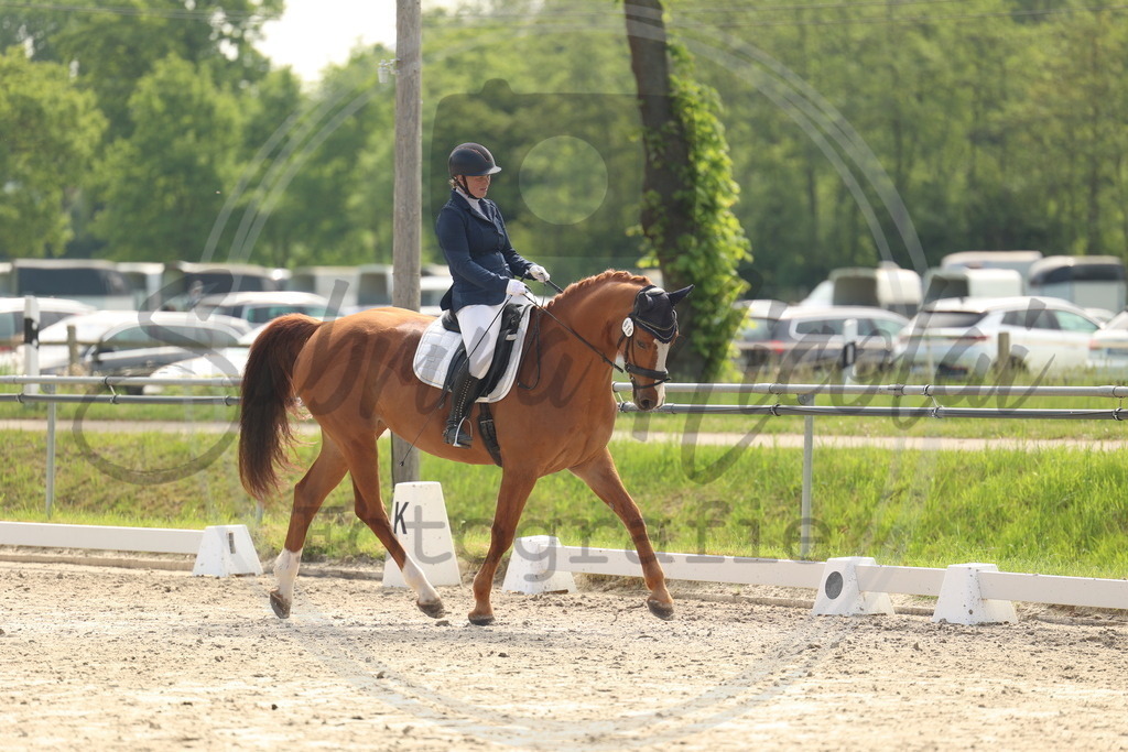 994A6423 | sabrinanicolaifotografie - Realisiert mit Pictrs.com