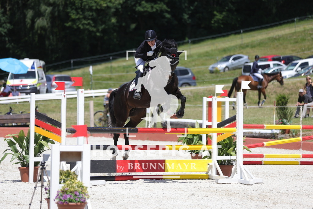 0P6A9101 | Willkommen bei Brunnmayr - Design & Fotografie – Ihrem Spezialisten für Reitturniere und Pferdeveranstaltungen in Oberösterreich, Salzburg und Bayern! Seit über 17 Jahren sind wir leidenschaftlich dabei.