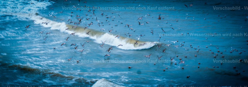 DSC00495-Enhanced-NR-2 | marcuslinek