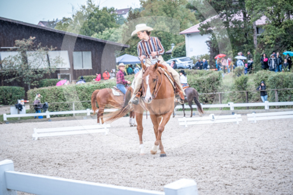 HEB07371 | BS-foto