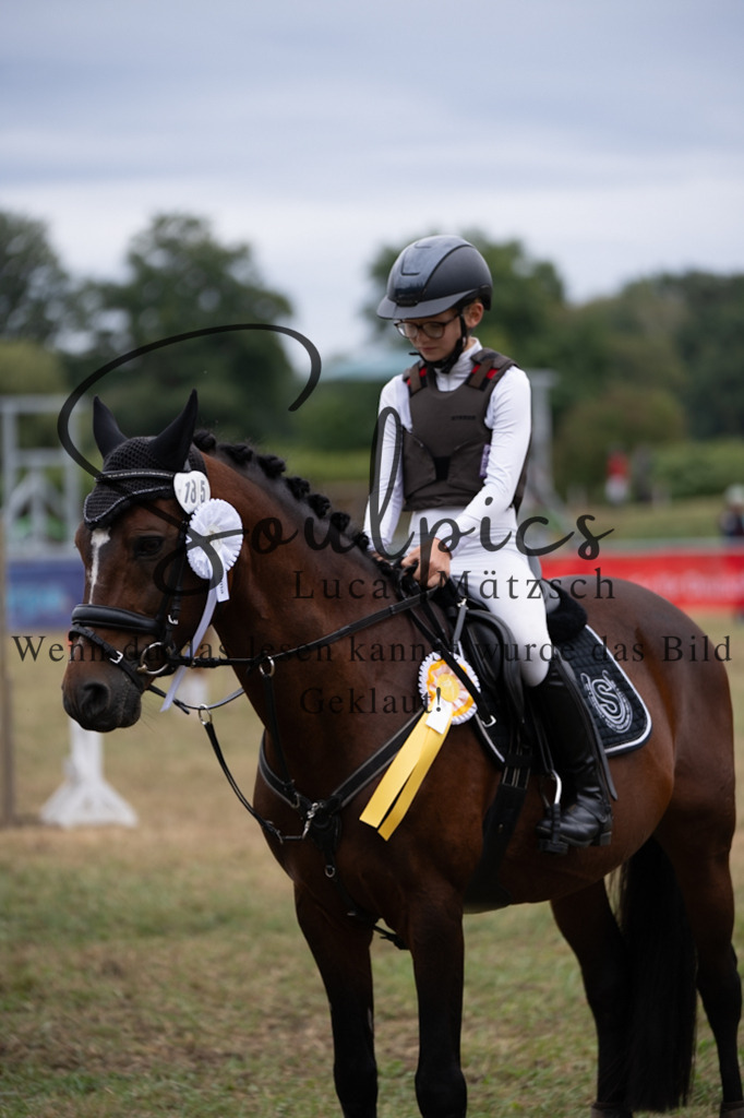 A7V00382 | Pferdefotograf