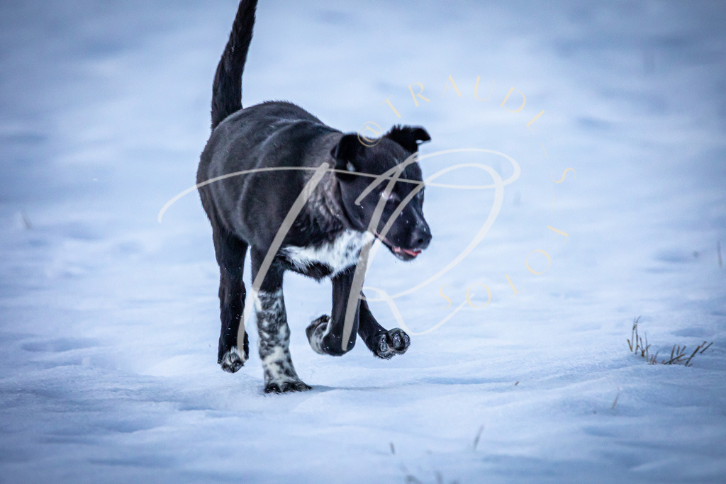 A1F3B37F-2E0A-49C7-8103-66B2AEC61F36 | traudl_s_fotos