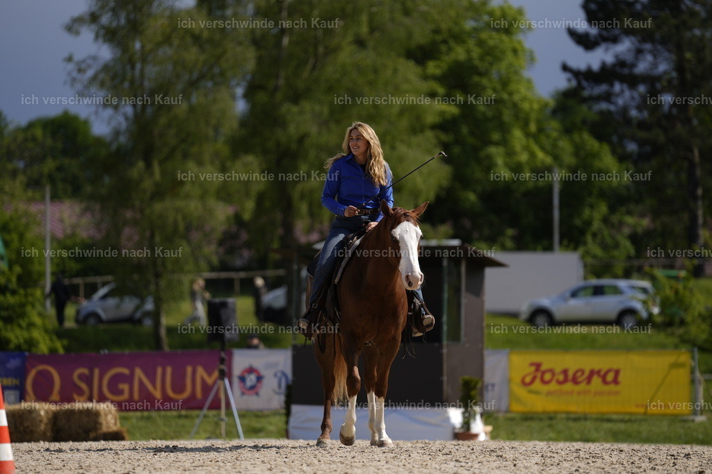 PI26_Show_Stoibphotography_A749347.JPG | working equitationturnier fotograf videograf stoibphotography marixx film working equitation deutschland reitsport turnierfotografie eventfotografie equestrian events