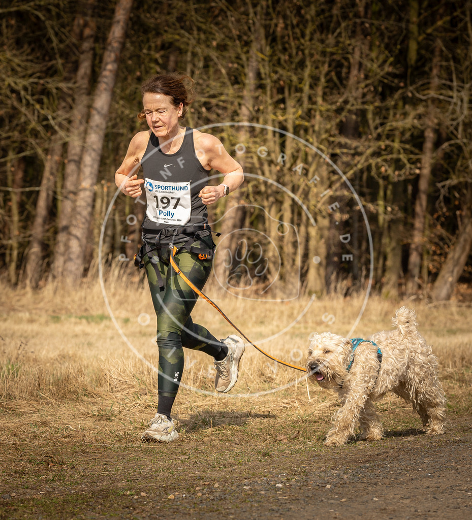 DV3A5453 | Hundefotografie, Tierfotograf, Pfotenfotografie, Fotoshooting Hund, Hunde Portrait, Hundesport, Hundeportraits, Heideshooting, Hunde, Sportfotograf, Hundefotograf, Turnierhundsport, THS,  - Realisiert mit Pictrs.com