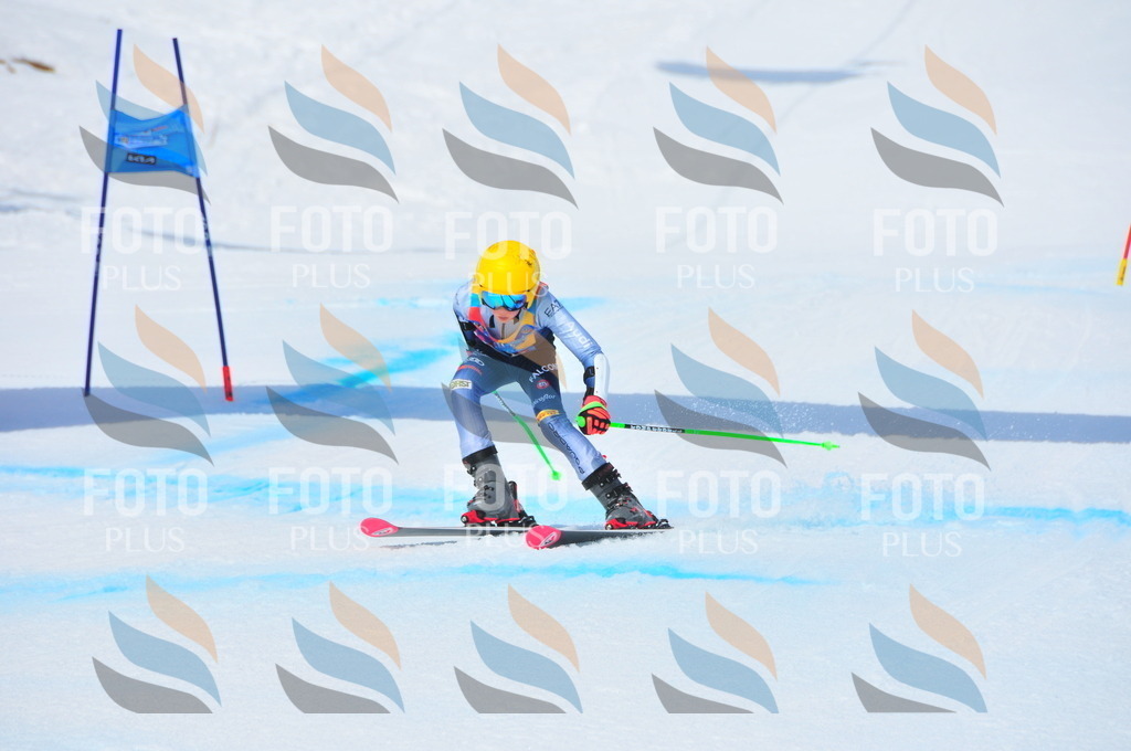 DSC_7080 | holidayphoto