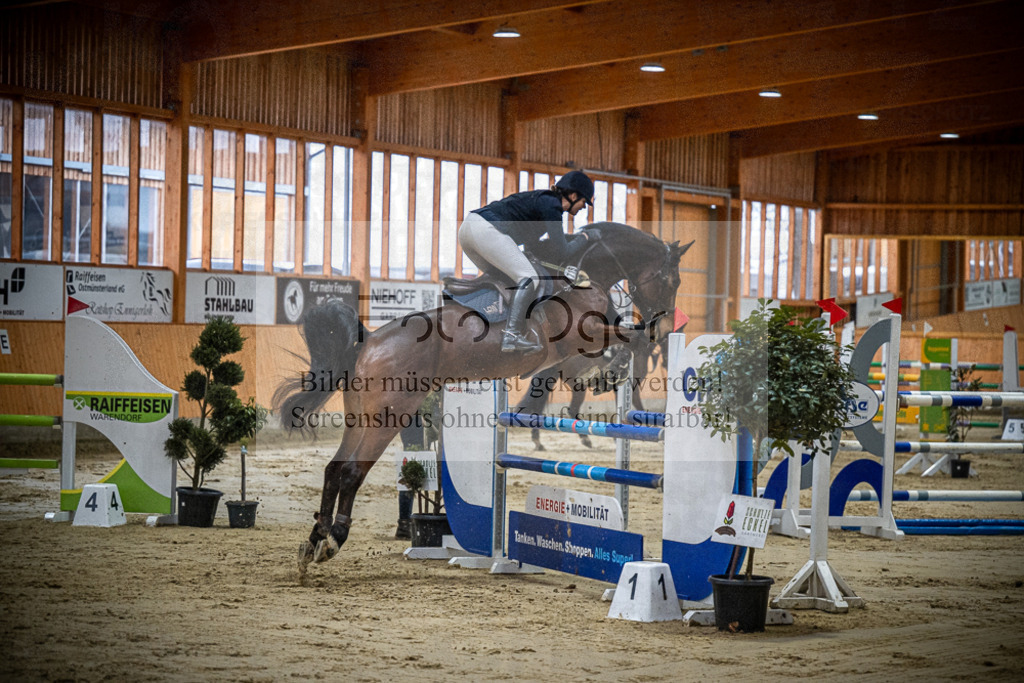 DOS_1729 | Entdecke hochwertige Reitturnierfotos von Foto Oger. Professionell, emotional und authentisch – jetzt Lieblingsmomente im Shop bestellen.Deutschlandweite Turnierfotografie. - Realisiert mit Pictrs.com