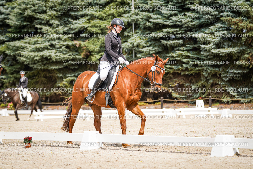 DSC03709 | Pferdegrafie