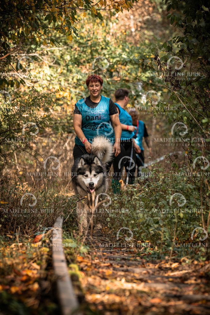 madeleinebirr.fotografie.2026.cc.hunsrueck.12-13Uhr.102 | hundefotografie-birr