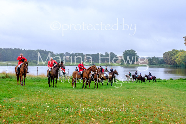 Jagd Kletkamp 26-9485_MarinaHewig | Fotografie, FotoArt, PferdesportArt, Pferdesportfotografie, Landschaftsfotografie, Reisefotografie, Reise, Pferde - Realisiert mit Pictrs.com