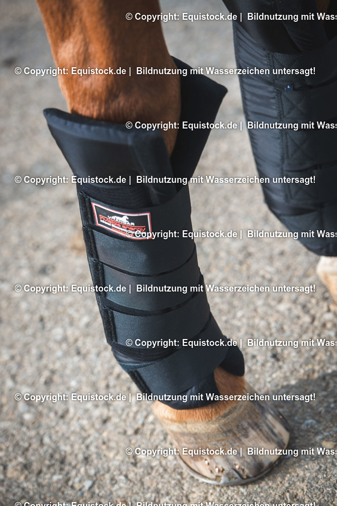 20191030_Wärmegamaschen_0004 | equistock