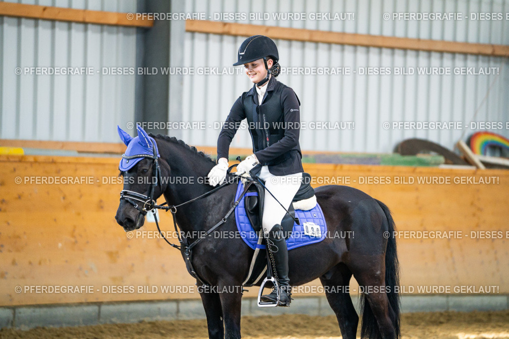 DSC01239 | Pferdegrafie