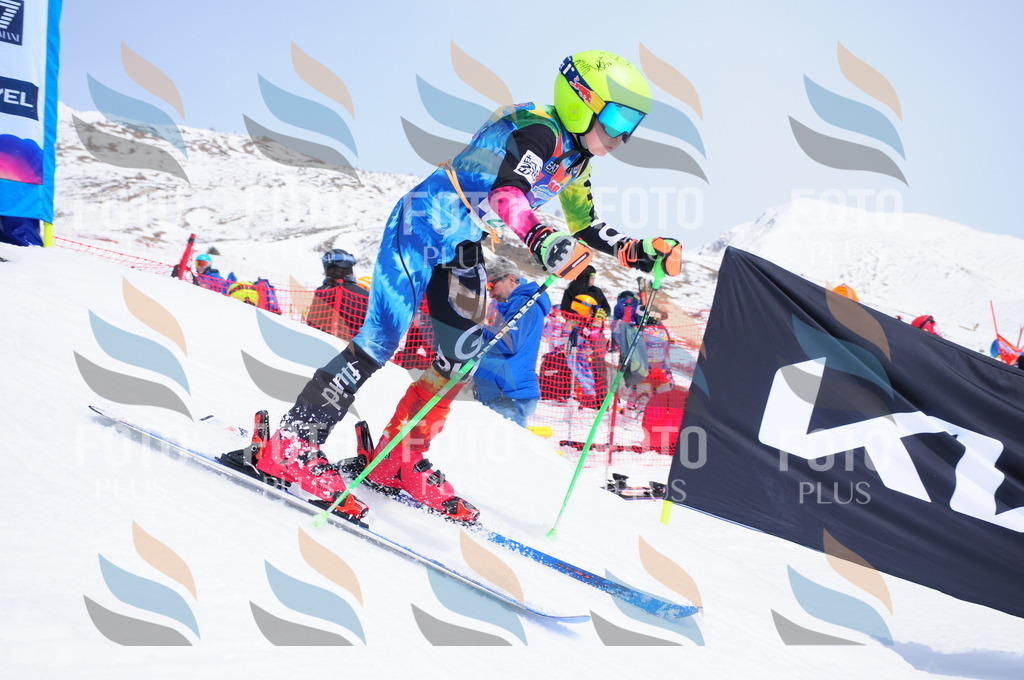 DSC_2338 | holidayphoto