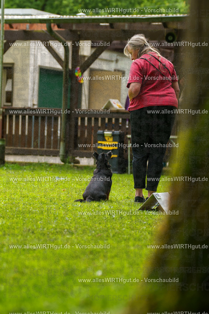 @allesWIRTHgut_Tierfotografie - www.allesWIRTHgut.de - 090339-7R506473 | Professionelle Tierfotografie in Mönchengladbach von Daniel Wirth (allesWIRTHgut). Liebevolle & natürliche Bilder von Hunden & Katzen für unvergessliche Erinnerungen.