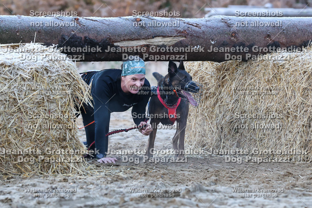 Dog Paparazzi - Strongdog 10-25-353 | Dog Paparazzi Jeanette Grottendiek Fotografie & Videografie - Realisiert mit Pictrs.com