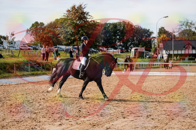 2026_10_03_Siefer-Hof_131702_Z63_78320088 | Professionelle Reitsport-, Turnier- und Eventfotografie von Robert Broda. Galerien mit ausgewählten und bearbeiteten Bildern direkt online ansehen und bestellen.