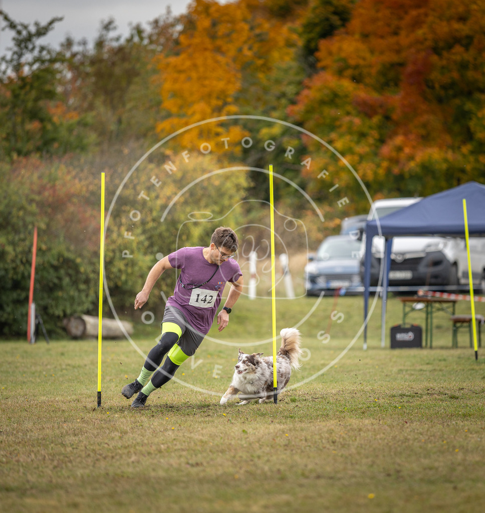Pfotenfotografie_DV3A8236 | Hundefotografie, Tierfotograf, Pfotenfotografie, Fotoshooting Hund, Hunde Portrait, Hundesport, Hundeportraits, Heideshooting, Hunde, Sportfotograf, Hundefotograf, Turnierhundsport, THS,  - Realisiert mit Pictrs.com