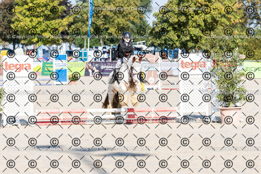 CL5A0145 | Emilia Reinking Fotografie - Realisiert mit Pictrs.com