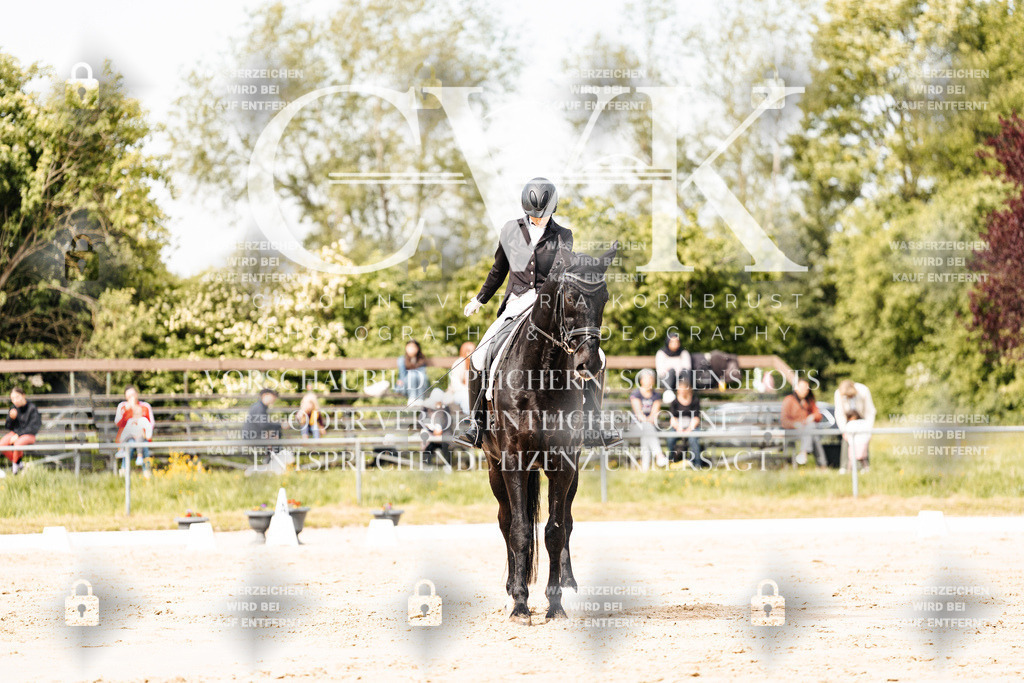 CK901006 | Turnierfotografie Pferdefotografie Trier Rheinland-Pfalz Pferdesport Reitsport Tierfotografie Sportfotografie Pferdevideo Pferdevideografie Equestrianvideography equestrianphotography  - Realisiert mit Pictrs.com