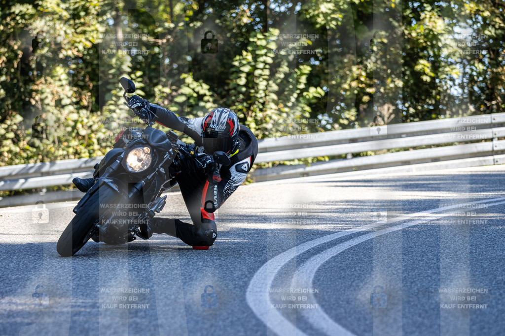 IMG_3347 | jrph - Realisiert mit Pictrs.com