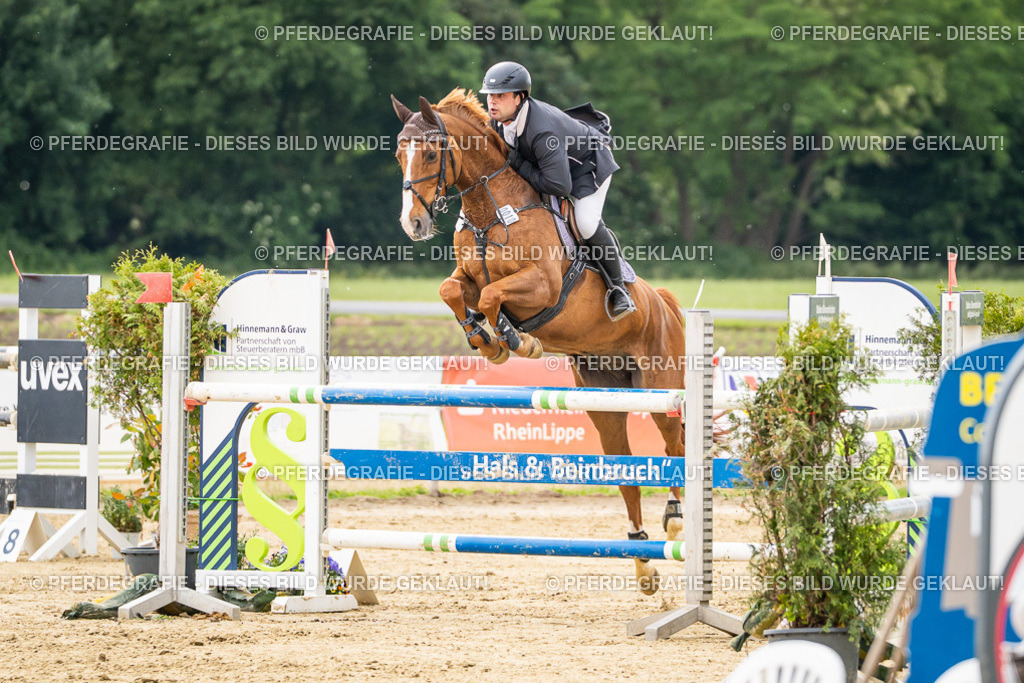 DSC06414 | Pferdegrafie