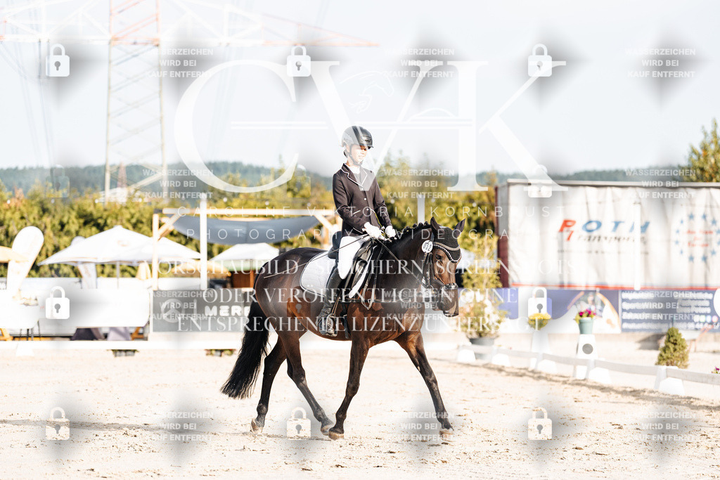 CK903772 | Turnierfotografie Pferdefotografie Trier Rheinland-Pfalz Pferdesport Reitsport Tierfotografie Sportfotografie Pferdevideo Pferdevideografie Equestrianvideography equestrianphotography  - Realisiert mit Pictrs.com