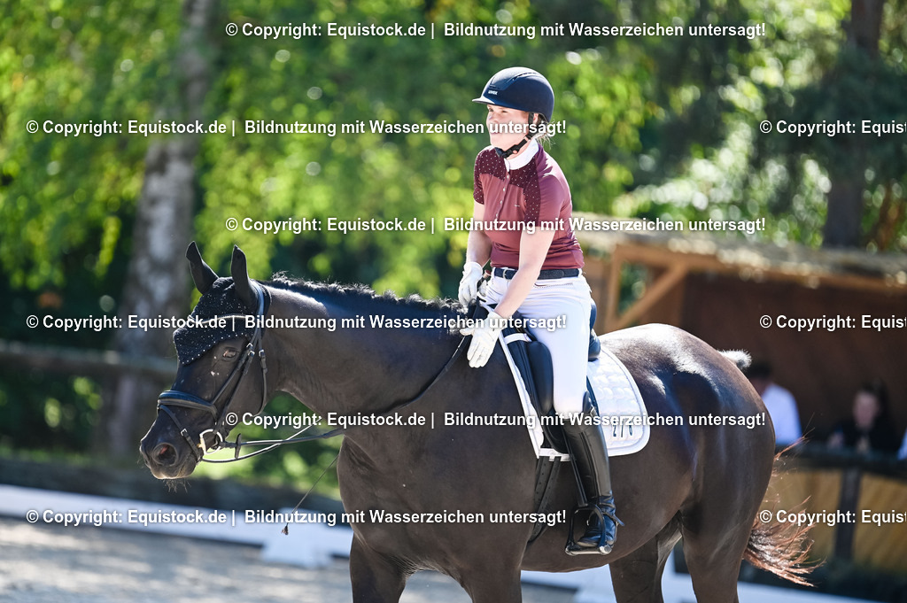 20230908_06_Dressur-L-Trense_0770 | equistock