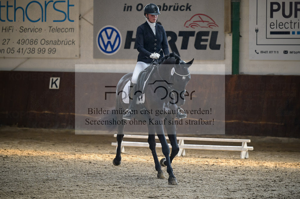 Reitturnier Voxtrup | Entdecke hochwertige Reitturnierfotos von Foto Oger. Professionell, emotional und authentisch – jetzt Lieblingsmomente im Shop bestellen.Deutschlandweite Turnierfotografie. - Realisiert mit Pictrs.com