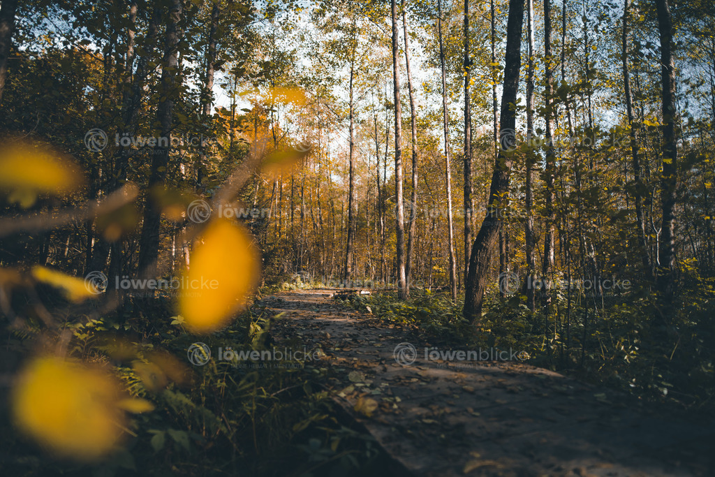 Schwebender Pfad beim Schloss Filseck im Herbst | löwenblicke | shop