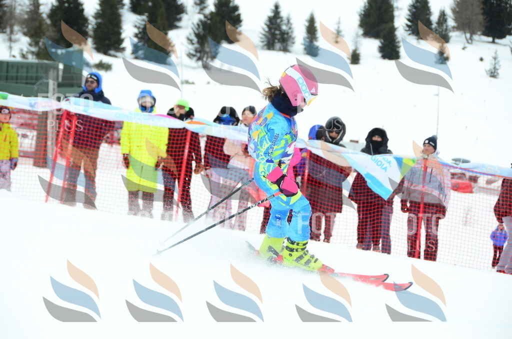 DSC_0758 | holidayphoto