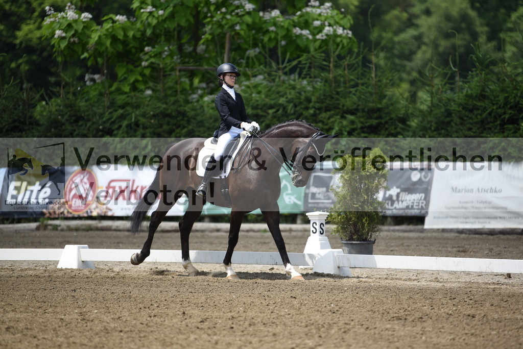 DSC_9831 | equestrian-live-com