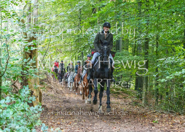 Jagd Perdoel_MarinaHewigMCH04732 | Fotografie, FotoArt, PferdesportArt, Pferdesportfotografie, Landschaftsfotografie, Reisefotografie, Reise, Pferde - Realisiert mit Pictrs.com